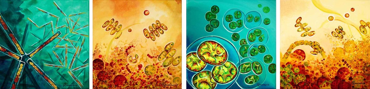 Individual small paintings in greens and yellows of diffferent algae forms