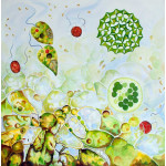 Painting of single cell algae forms in greens and yellow