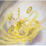 Algae filaments and single cell algae in yellows on a pale purple background