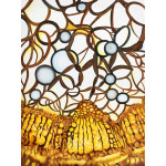 Painting of the cells that make up the stem of a rose from woody outside greens and golds through to the clear center.