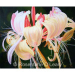 A close up painting of a honeysuckle flower on a dark green background