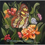 Painting of Malachite Butterfly on an orange flower head