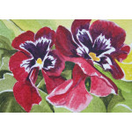 Red pansies original miniature watercolour painting