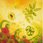 Painting of brightly coloured algae forms on a yellow background 
