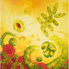 Painting of brightly coloured algae forms on a yellow background 